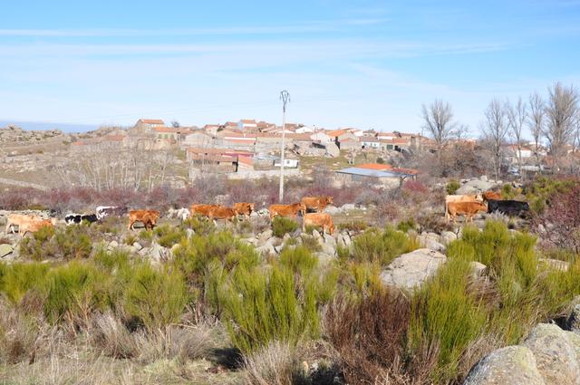 GALLEGOS DE ALTAMIROS